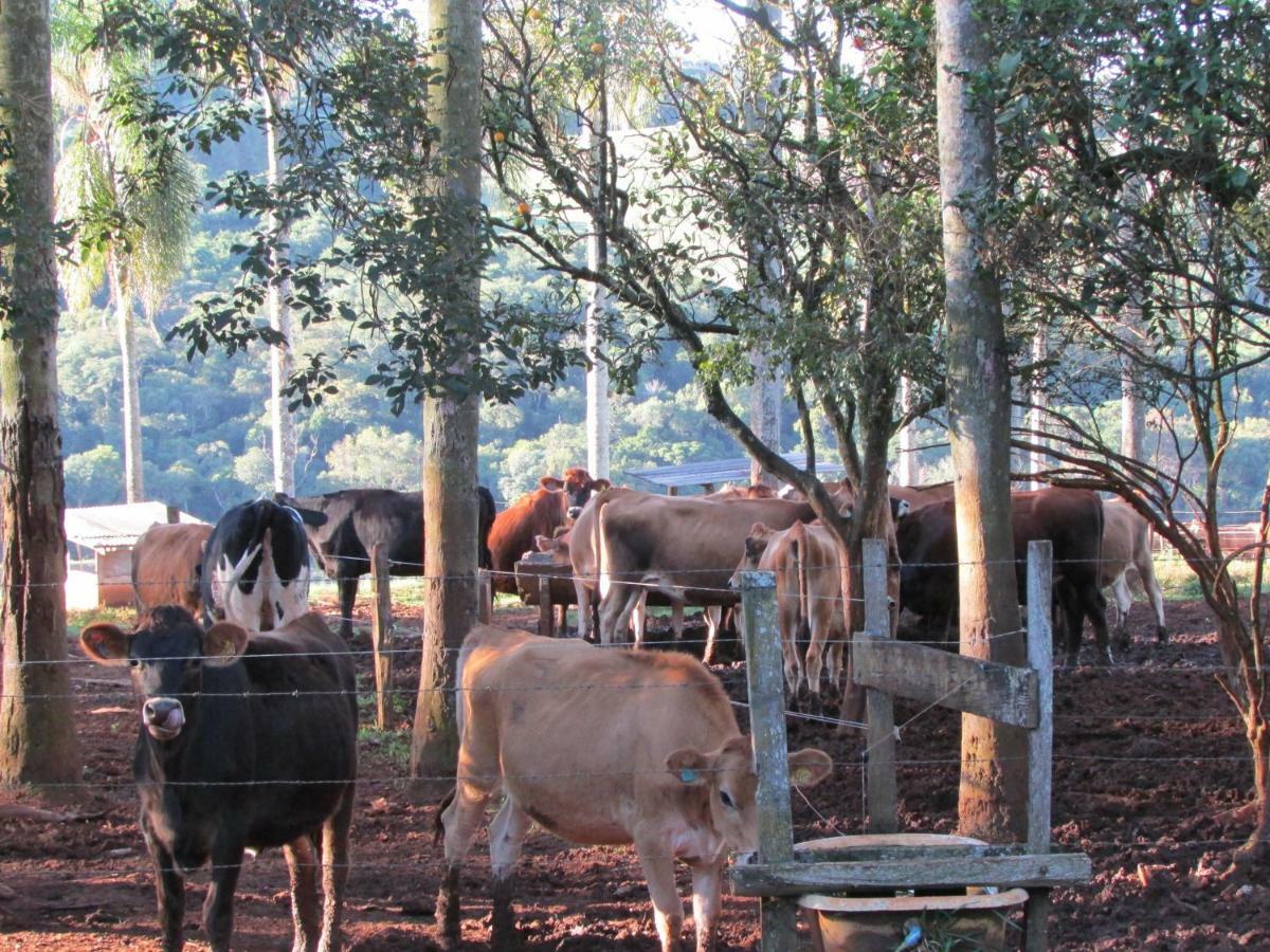 Pousada Longe Vista Tibagi Exteriér fotografie